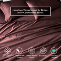 Plum Red Egyptian Cotton Sateen Sheet Set infographic highlighting product features and Oeko-Tex certification